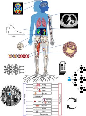 Theranostic digital twins for personalized radiopharmaceutical therapies: Reimagining theranostics via computational nuclear oncology